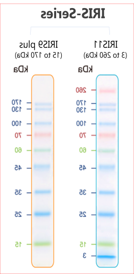 蛋白marker(IRIS11, 3-260kda;IRIS9, 15-180kda )