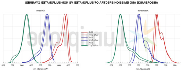 磺化与非磺化花青标记时的区别.jpg