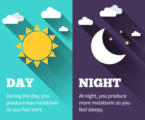 褪黑素在调节睡眠-觉醒周期中起着重要作用.png